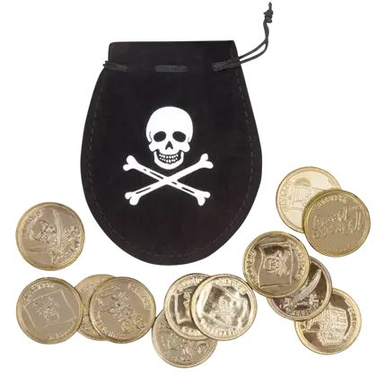Pirate pocket with 12 coins