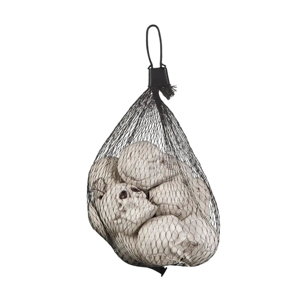 Set of 12 skulls