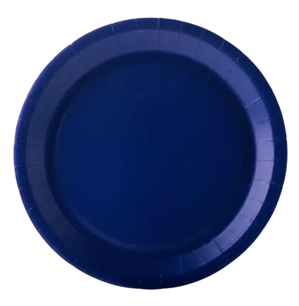 Round Paper Plates 22 cm Navy Blue – Party Tableware