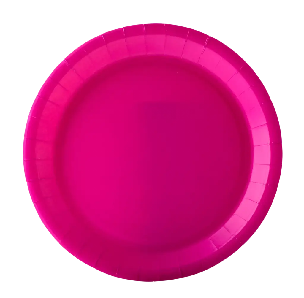 Round Paper Plates 22 cm Fuchsia – Party Tableware