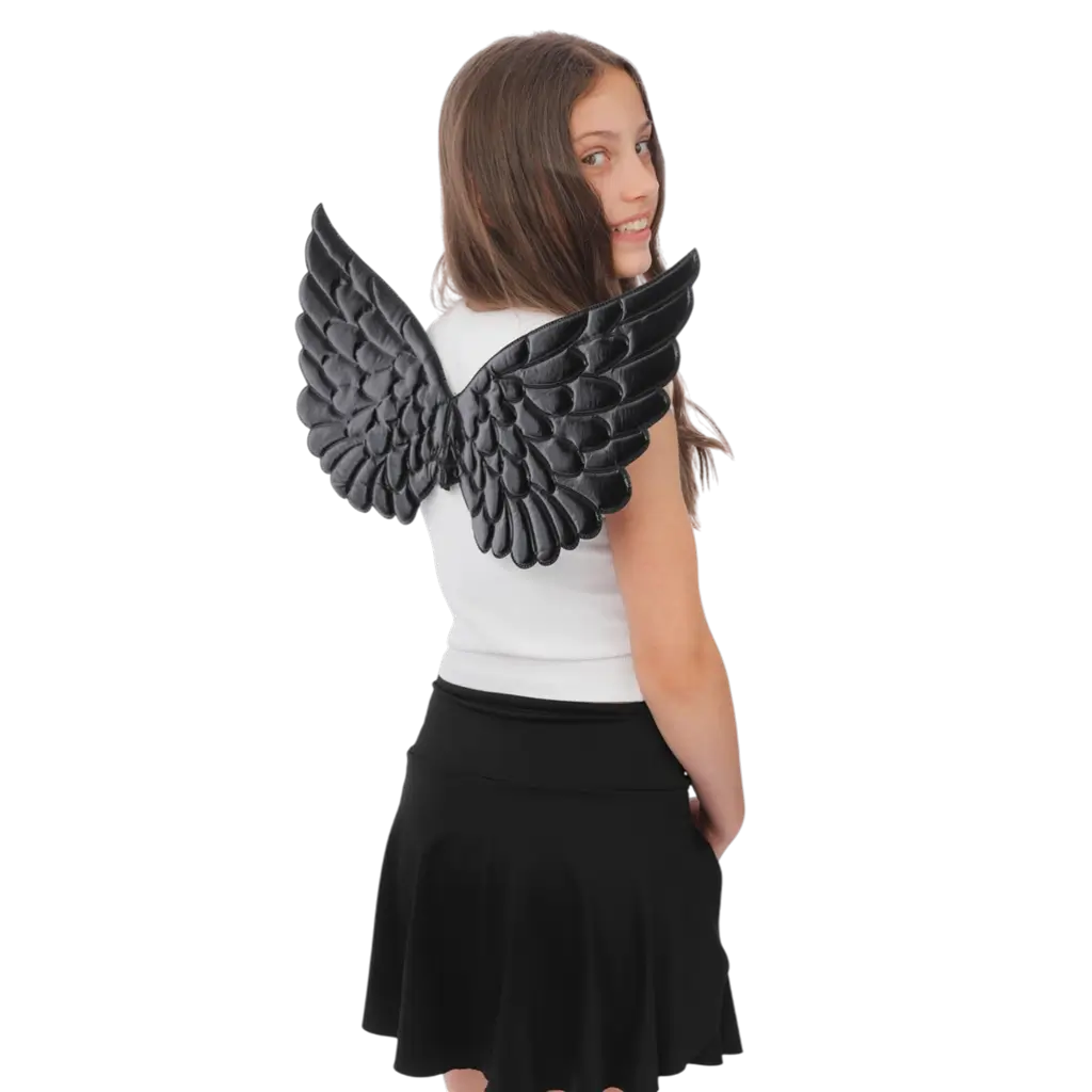 Black Angel Wings 62 cm - Angel or Demon Disguise Accessories