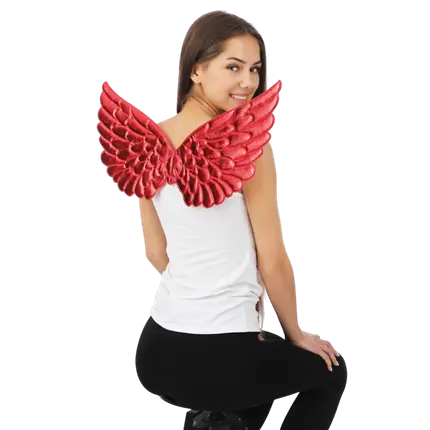 Red Angel Wings 62 cm - Angel or Devil Disguise Accessories