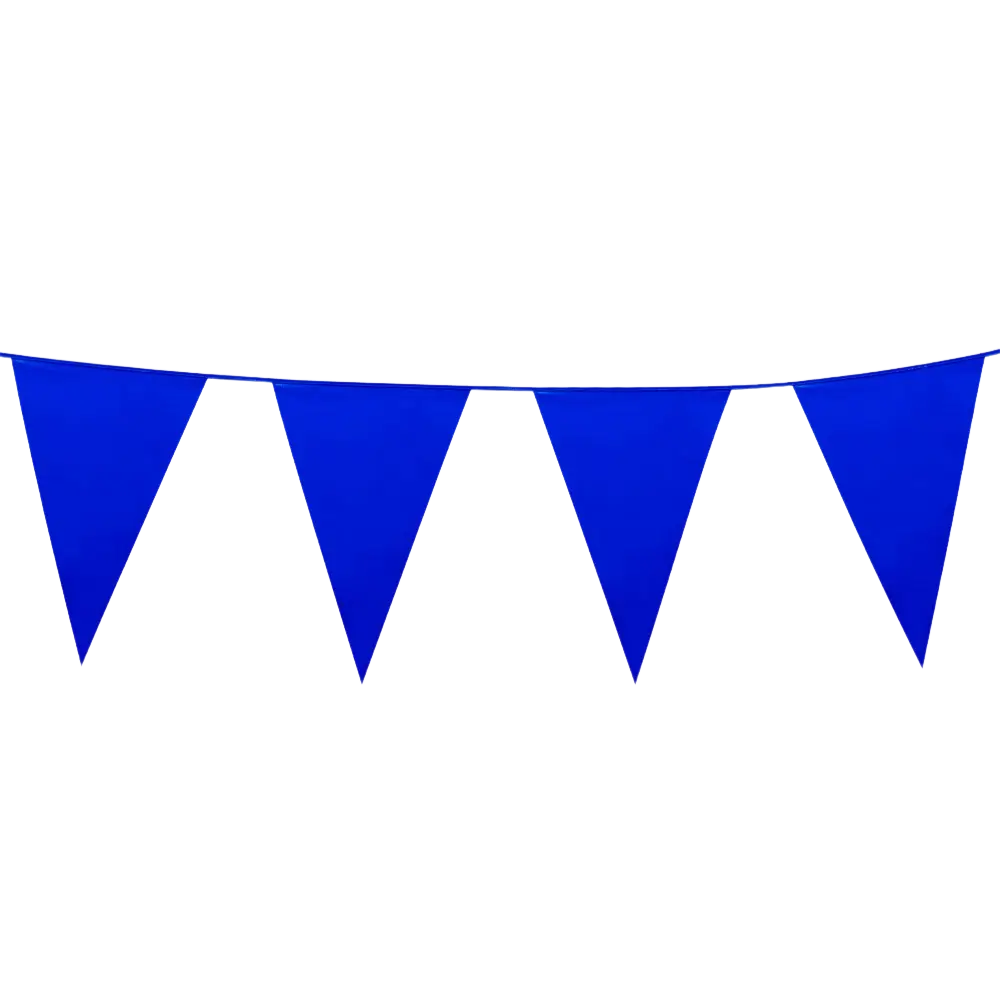 Blue Pennant Banner - Boy's Birthday Party decoration