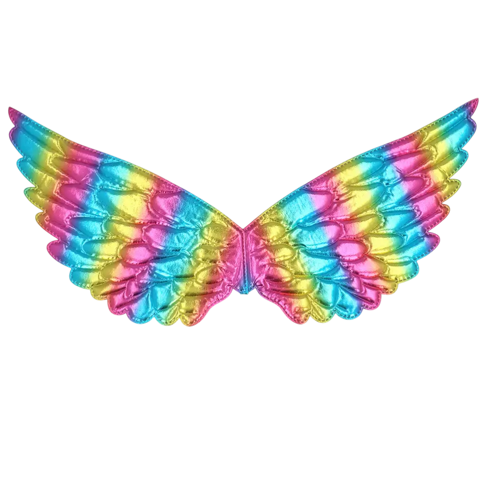 Rainbow Angel Wings - Fairy Angel Carnival Disguise