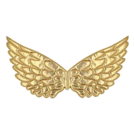Golden Angel Wings - Angel Woman Carnival Evening Disguise
