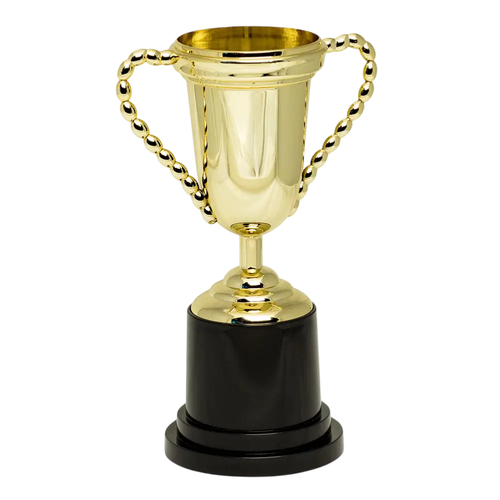 Deluxe Gold Victory Cup Trophy - Children's Birthday Sport Competition Award