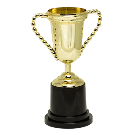 Deluxe Gold Victory Cup Trophy - Children's Birthday Sport Competition Award
