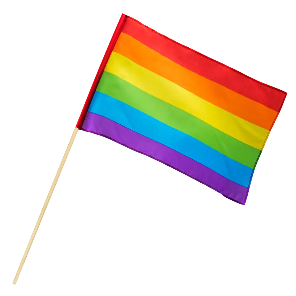 Rainbow polyester hand flag