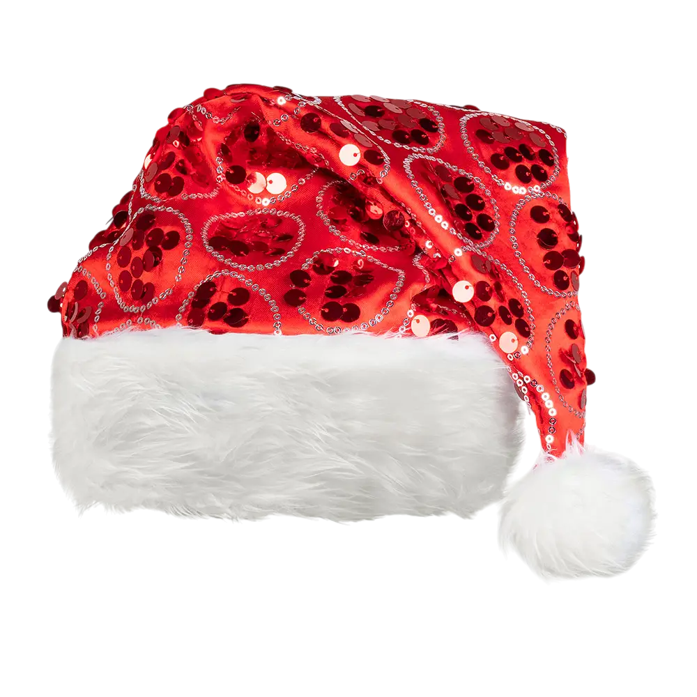 Christmas hat with red sequins