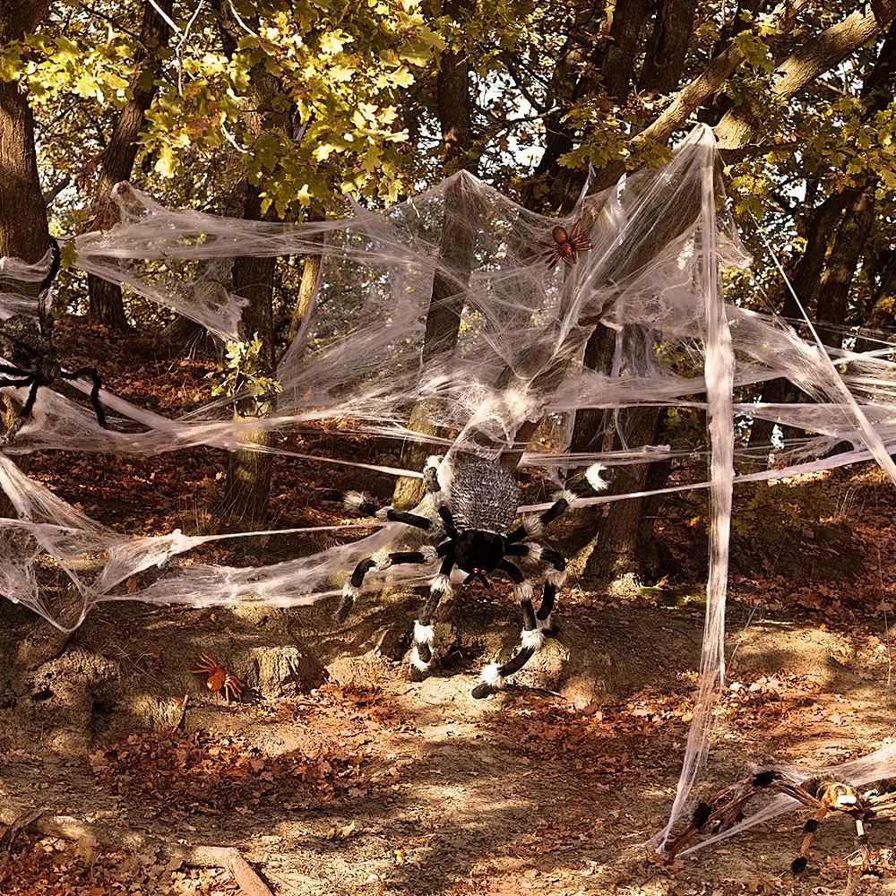 100 g spider web with 6 spiders