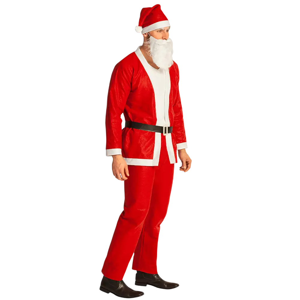Adult Father Christmas disguise