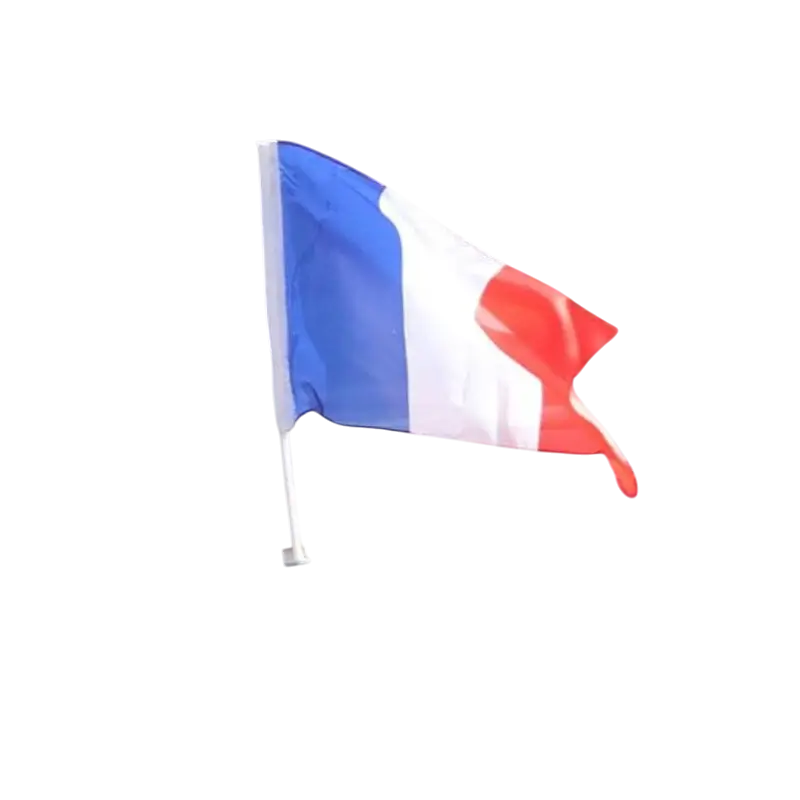 FRANCE polyester car flag with pole 45 x 30 cm