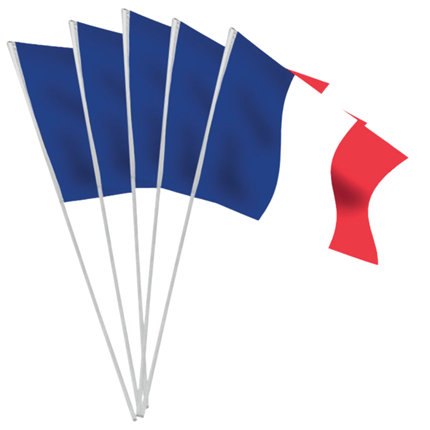 Pack of 100 small tricolour flags France
