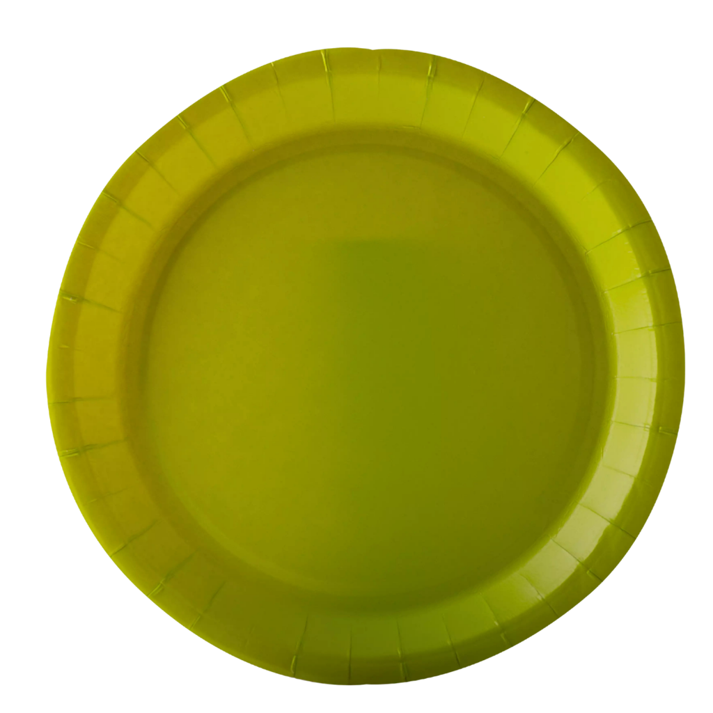 10 round paper plates Light green - 22 cm