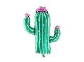 Aluminium cactus balloon