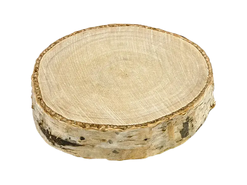 6 Wooden place cards