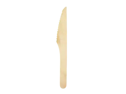 100 wooden knives