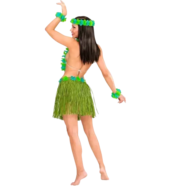 Green Hawaiian fancy dress kit