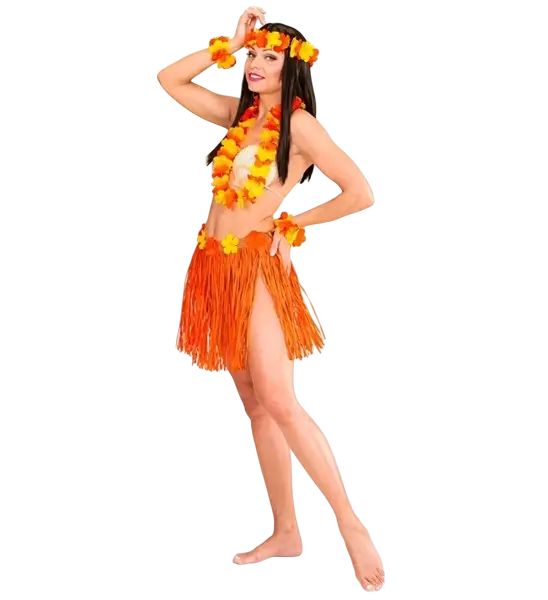 Orange Hawaiian fancy dress kit