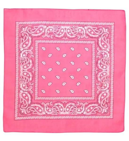 Pink bandana