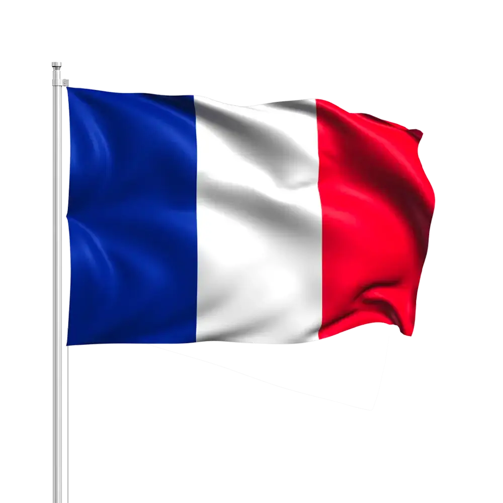 France flags with Baguette 14x21cm