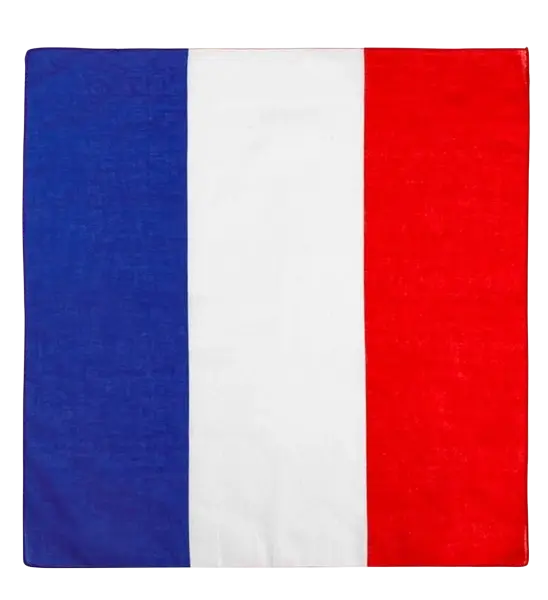 Bandana France 55 cm in cotton - Supporter and fancy dress