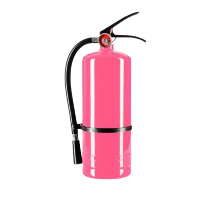 Holi Rose Powder Fire Extinguisher – 5 kg