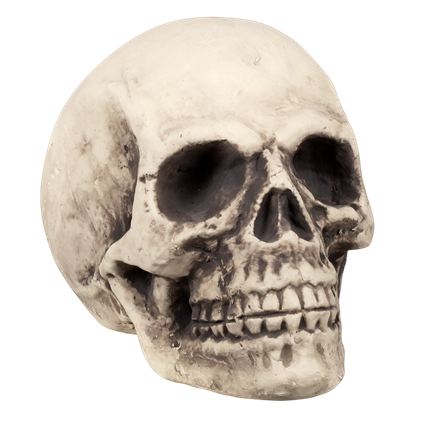 Giant Skull 27 x 27 x 38 cm – Halloween decoration