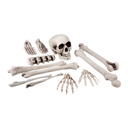Set of 12 Skulls and Bones, 23 cm – Halloween Decorations