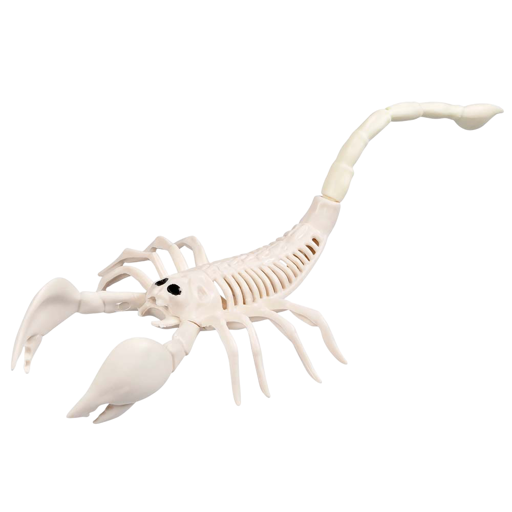 Scorpion Skeleton 33 x 14 x 8 cm – Halloween decoration