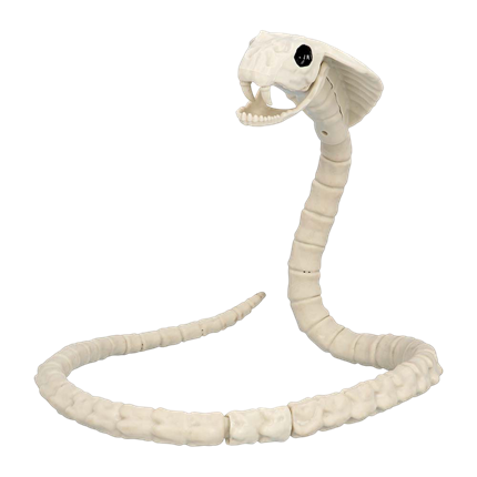 102 cm Snake Skeleton – Halloween Decoration