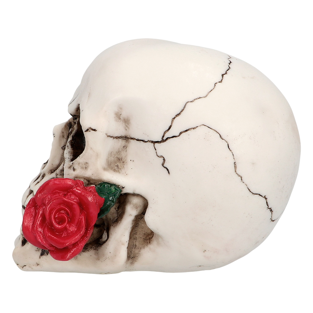 Skull with Flower 10 x 10.5 x 13 cm – Halloween decoration