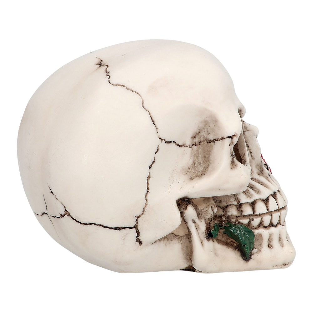 Skull with Flower 10 x 10.5 x 13 cm – Halloween decoration