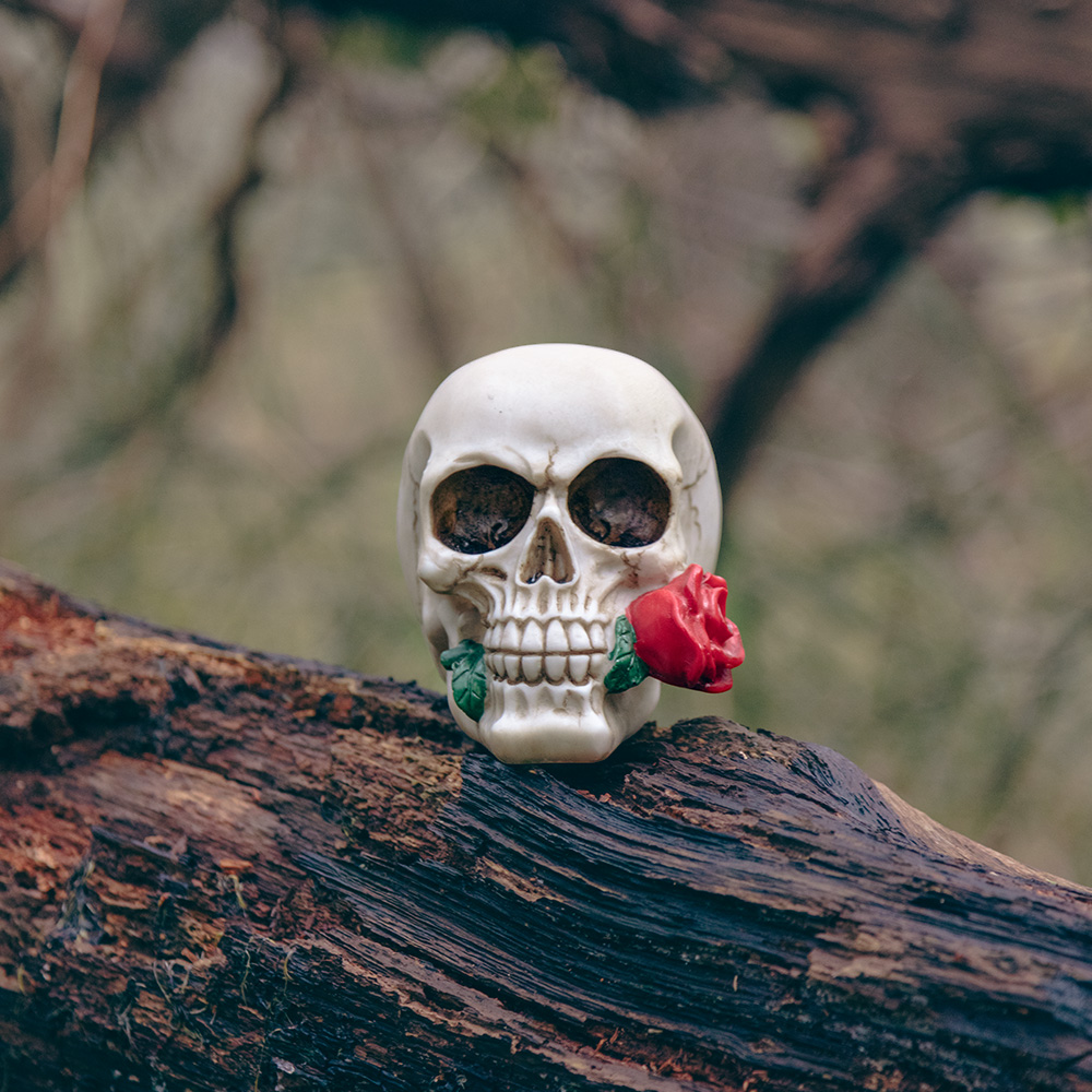 Skull with Flower 10 x 10.5 x 13 cm – Halloween decoration