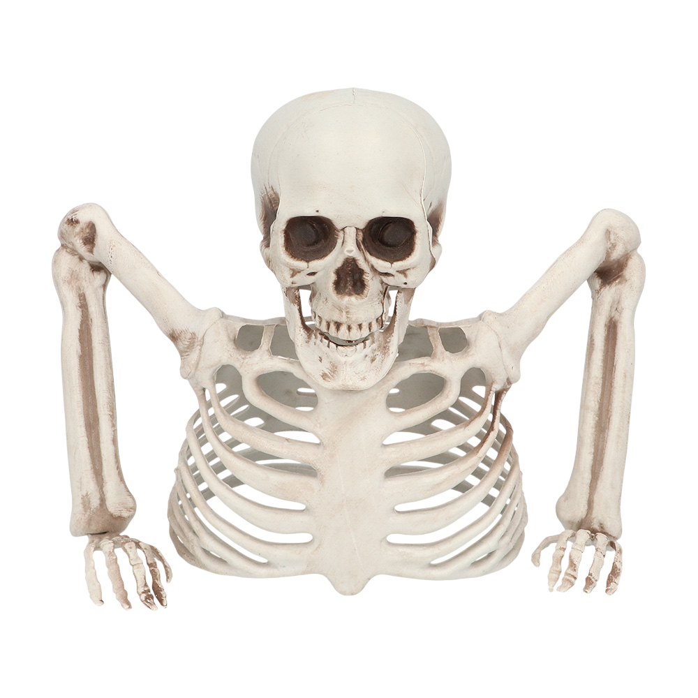 20 cm Skeleton Rising from the Ground – Halloween Decoration