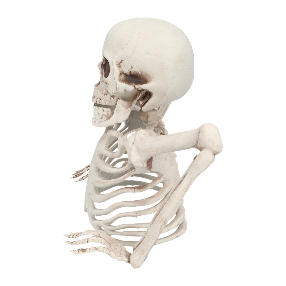 20 cm Skeleton Rising from the Ground – Halloween Decoration