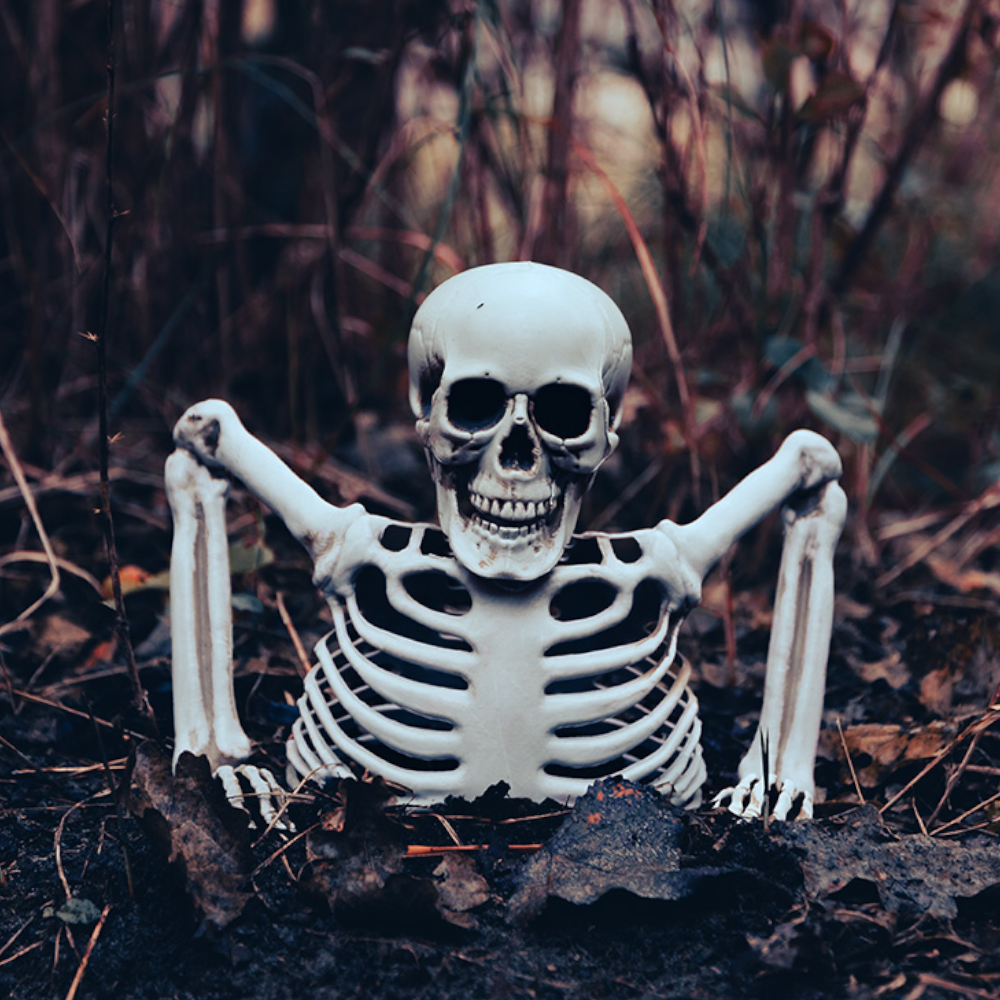 20 cm Skeleton Rising from the Ground – Halloween Decoration