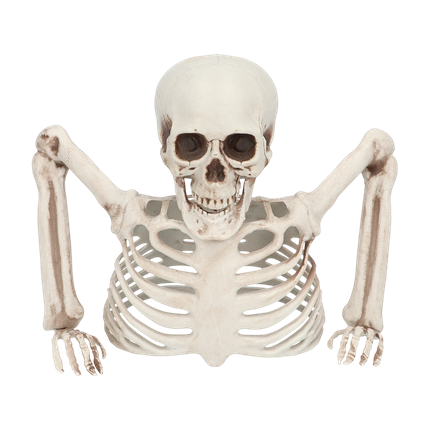 20 cm Skeleton Rising from the Ground – Halloween Decoration