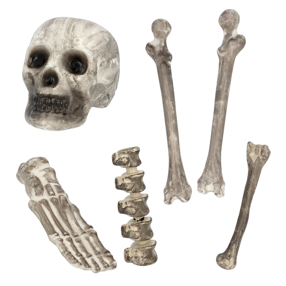 Set of 6 Skulls and Bones – Halloween Decorations
