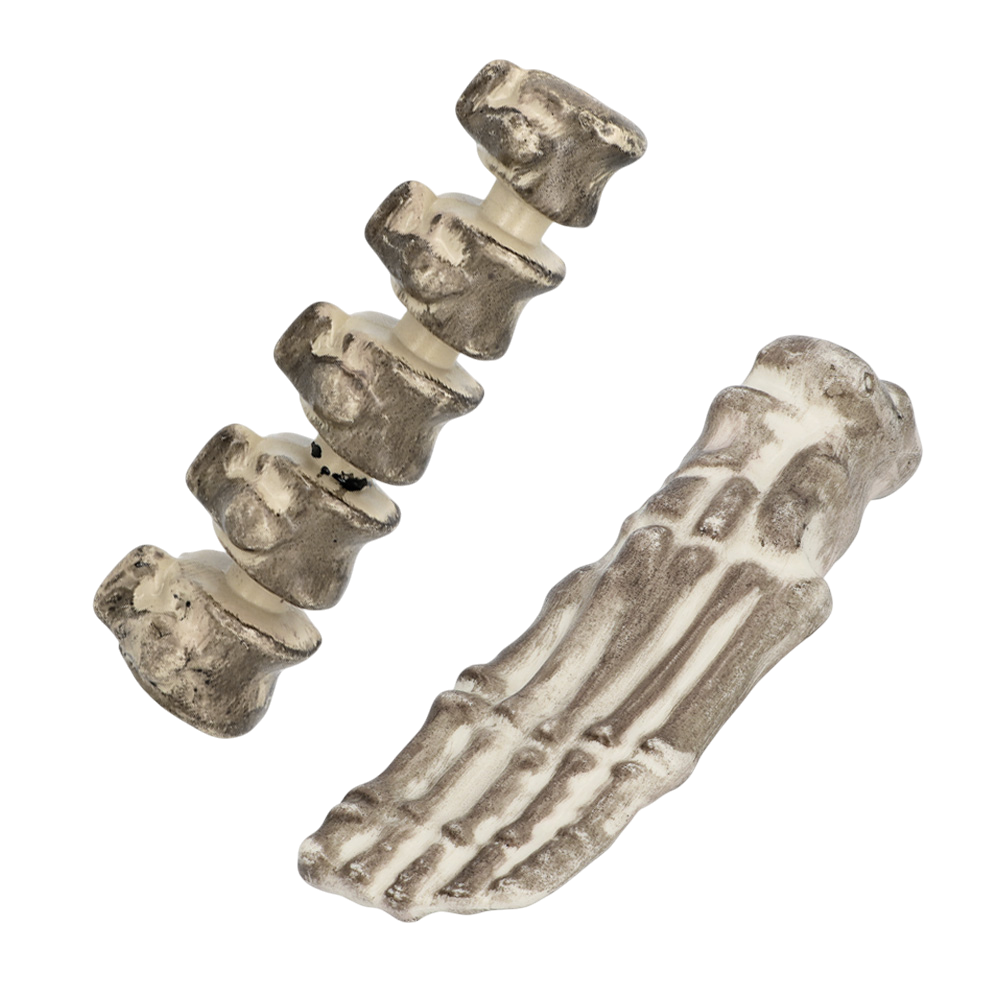Set of 6 Skulls and Bones – Halloween Decorations