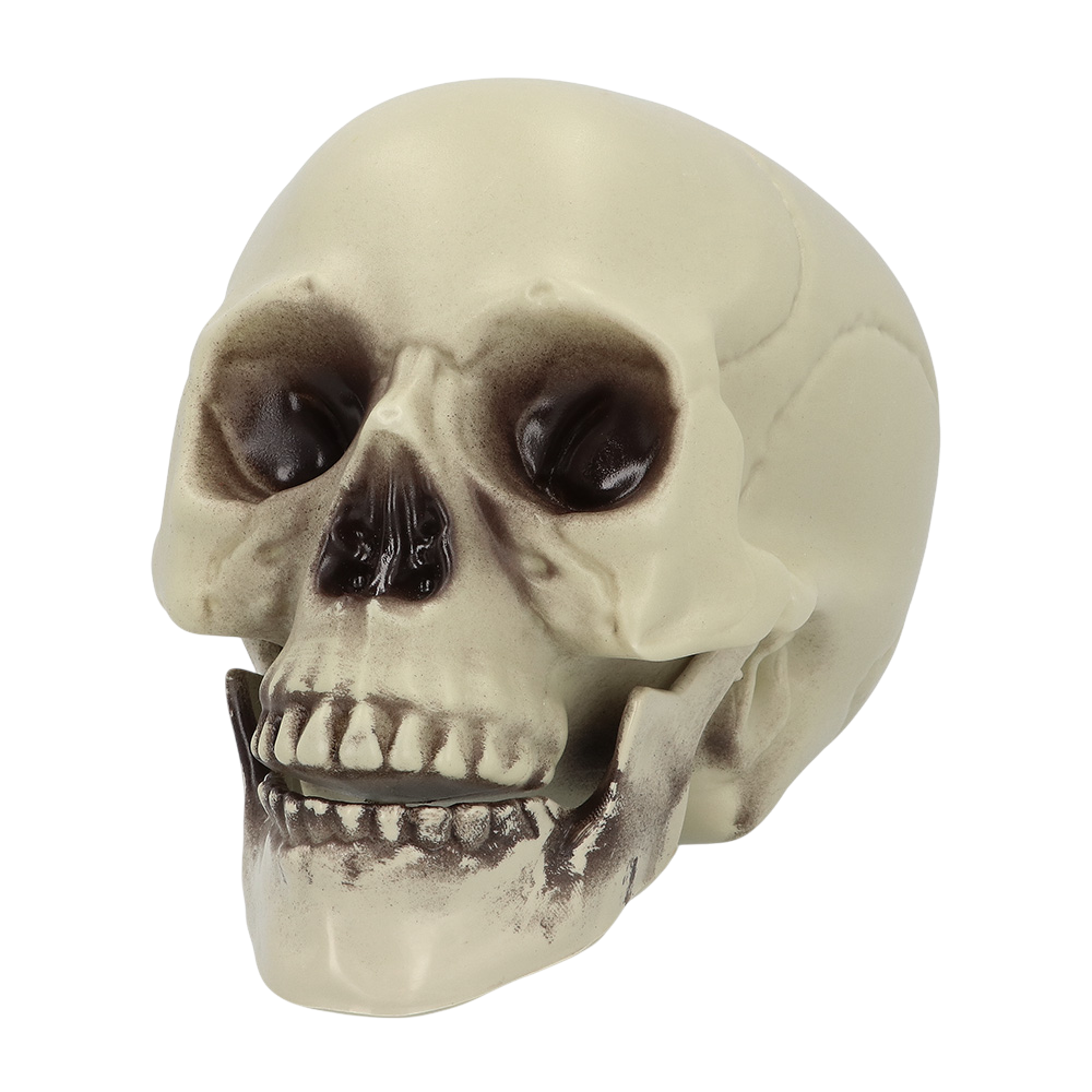 Decorative Skull 15 x 20 x 16 cm – Halloween