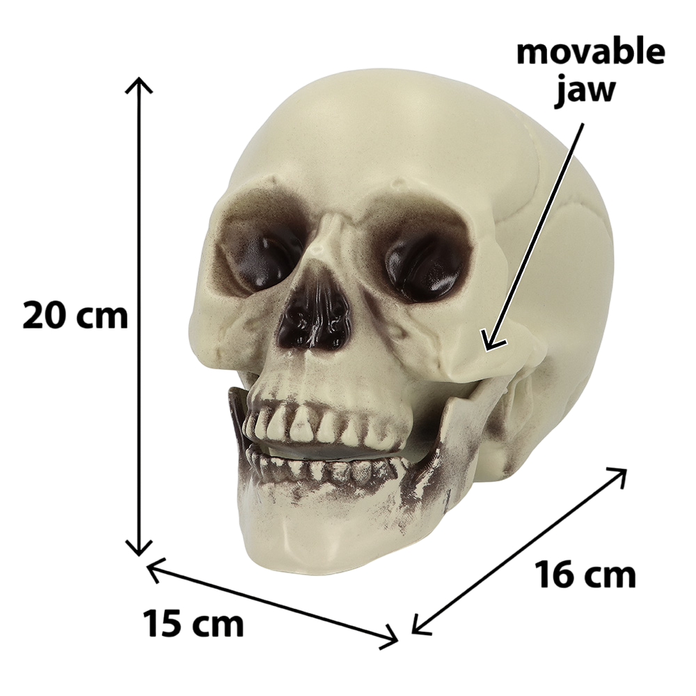 Decorative Skull 15 x 20 x 16 cm – Halloween
