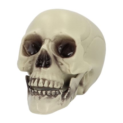 Decorative Skull 15 x 20 x 16 cm – Halloween