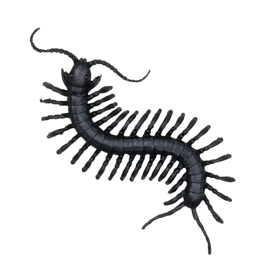 Set of 6 Scary Creatures – Halloween Decorations