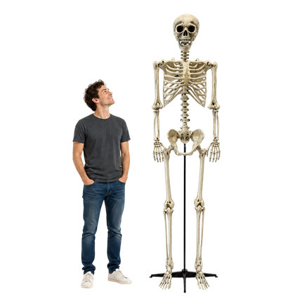 Giant Skeleton, 240 cm – Halloween decoration