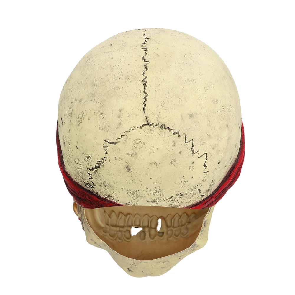 Latex Pirate Mask – Halloween Costume
