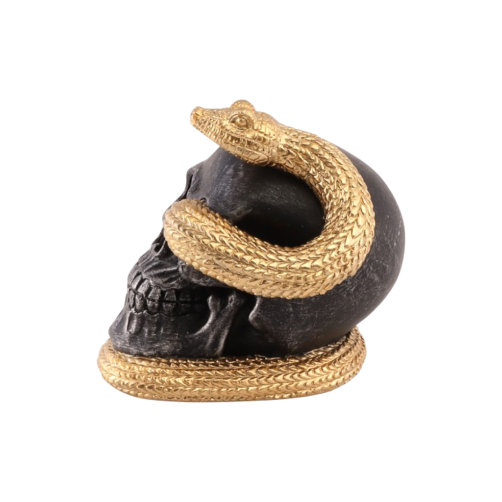 Skull with Golden Snake, 14.5 cm – Halloween decoration