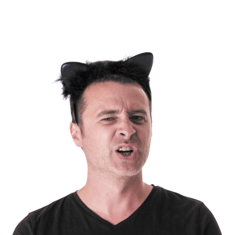 Black Cat Ears Headband – Halloween Accessory