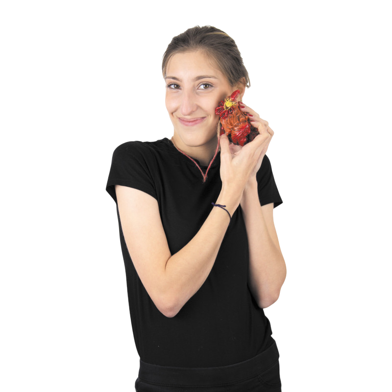 Decapitated Rooster Necklace – Halloween Accessory