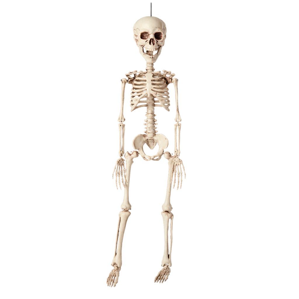 40 cm Hanging Skeleton – Halloween Decoration